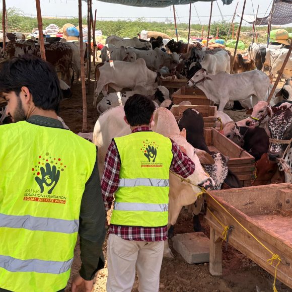 Eid ul Adha Qurbani Project – Spreading Hope Across Pakistan