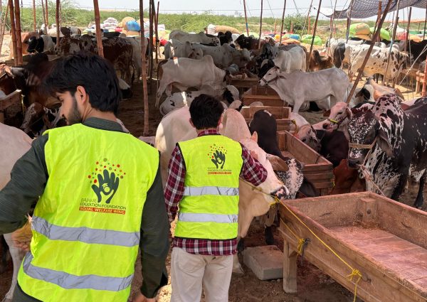 Eid ul Adha Qurbani Project – Spreading Hope Across Pakistan